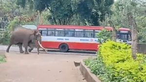  ಬಿಳಿಗಿರಿರಂಗನ ಬೆಟ್ಟದ ಮುಖ್ಯರಸ್ತೆಯಲ್ಲಿ 