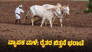 ಧಾರವಾಡದಲ್ಲಿ 40% ಬಿತ್ತನೆ: ಬಾಕಿ ಬಿತ್ತನೆಯಲ್ಲಿ ಯಾವ ಬೆಳೆಗೆ ರೈತರು ಆದ್ಯತೆ ನೀಡಲಿದ್ದಾರೆ?