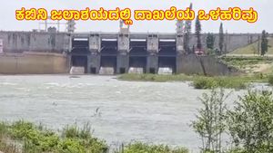 Kabini Dam: ವ್ಯಾಪಕ ಮಳೆಗೆ ಒಂದೇ ದಿನದಲ್ಲಿ ಭಾರೀ ಒಳಹರಿವು ದಾಖಲು, ಇಂದಿನ ವಿವರ