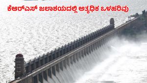 KRS Dam: ವಿಪರೀತ ಮಳೆ, ಜಲಾಶಯದಲ್ಲಿ ಒಂದೇ ದಿನದಲ್ಲಿ ಅತ್ಯಧಿಕ ಒಳಹರಿವು ದಾಖಲು, ಇಂದಿನ ಮಾಹಿತಿ
