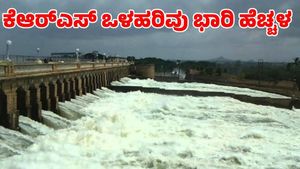 KRS Dam: ವ್ಯಾಪಕ ಮಳೆಗೆ ಜಲಾಶಯದ ಒಳಹರಿವು ಹೆಚ್ಚಳ, ಇಂದಿನ ಮಟ್ಟ ಎಷ್ಟಿದೆ?