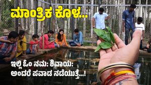 ಮಾಂತ್ರಿಕ ಕೊಳ.... ಈ ನೀರಿನಲ್ಲಿ ಬಿಲ್ವಪತ್ರೆ ಮುಳುಗುತ್ತೆ ಬೇರೆ ಎಲೆ ತೇಲುತ್ತೆ!