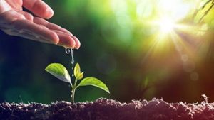 World Environment Day 2024: ಸುಂದರ ಪರಿಸರ ನಿರ್ಮಾಣ ನಮ್ಮಿಂದಲೇ ಶುರು: ಇಂದೇ ಶುದ್ಧ ಪರಿಸರದ ಪಣತೊಡಿ