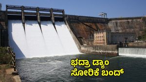 Bhadra Reservoir: 10 ದಿನಗಳಿಂದ ಡ್ಯಾಂ ನೀರು ಸೋರಿಕೆಗೆ ಮುಕ್ತಿ: ಅಪ್ಡೇಟ್ ಕೊಟ್ಟ ಡಿಕೆ ಶಿವಕುಮಾರ್ 