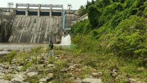  Badra Dam: ಭದ್ರಾ ಡ್ಯಾಂನಿಂದ ಕಳೆದ ಒಂದು ವಾರದಲ್ಲಿ ಎಷ್ಟು ಸಾವಿರ ಕ್ಯೂಸೆಕ್‌ ನೀರು ಪೊಲು?-ಕಾರಣ ಏನು?   