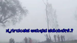  Gopalswami Hill: ಸ್ವರ್ಗದಂತಹ ಅನುಭವ ಪಡೆಯಬೇಕೆ.? ಈ ಬೆಟ್ಟಕ್ಕೆ ಭೇಟಿ ನೀಡಿ