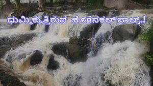  Hogenakkal Falls: ಹೊಗೆನಕಲ್‌ ಜಲಪಾತದ ಸೌಂದರ್ಯ ಹೆಚ್ಚಿಸಿದ ಕಾವೇರಿ