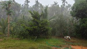 ಕೊಡಗಿನಲ್ಲಿ ಕಡಿಮೆಯಾದ ಮಳೆ: 24 ಗಂಟೆಯಲ್ಲಿ ಎಷ್ಟು ಮಳೆ? 