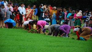 Monsoon in Kodagu: ಮಳೆಯಲಿ ಜೊತೆಯಲಿ..ಇದು ಕೊಡಗಿನವರ ಮಳೆಗಾಲದ ಬದುಕು 
