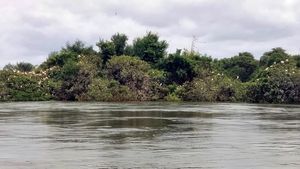  KRS Dam: ಕೆಆರ್​ಎಸ್‌ನಿಂದ ಭಾರಿ ಪ್ರಮಾಣದ ನೀರು ಬಿಡುಗಡೆ; ರಂಗನತಿಟ್ಟು ಪಕ್ಷಿಧಾಮ ಮುಳುಗಡೆ, ಪ್ರವೇಶ ನಿಷೇಧ