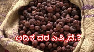  ದಾವಣಗೆರೆ: ಕ್ವಿಂಟಾಲ್‌ ಅಡಿಕೆ ಧಾರಣೆ ಎಷ್ಟಿದೆ?- ತಾಲ್ಲೂಕುವಾರು ಆಗಸ್ಟ್‌ 07ರ ಅಂಕಿಅಂಶಗಳ ವಿವರ ಇಲ್ಲಿದೆ