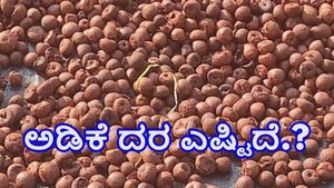  ದಾವಣಗೆರೆ: ಆಗಸ್ಟ್‌ 16ರಂದು ಕ್ವಿಂಟಾಲ್‌ ಧಾರಣೆ ಎಷ್ಟಿದೆ?-ತಾಲ್ಲೂಕುವಾರು ಅಂಕಿಅಂಶಗಳು ಹೀಗಿವೆ