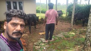  Wayanad landslide: ನಾಪತ್ತೆಯಾಗಿದ್ದ 5 ಹಸುಗಳು ಮತ್ತೆ ಯಜಮಾನನ ಬಳಿಗೆ.!