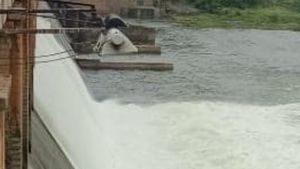 Tungabhadra Dam: ಮುರಿದ ತುಂಗಭದ್ರಾ ಡ್ಯಾಂ 19ನೇ ಗೇಟ್‌ ಚೈನ್‌ ಲಿಂಕ್, ಆತಂಕ 