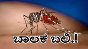  Dengue Fever: ಹಿರಿಯೂರಿನಲ್ಲಿ ಡೆಂಘೀ ಜ್ವರಕ್ಕೆ 7 ವರ್ಷದ ಬಾಲಕ ಬಲಿ 