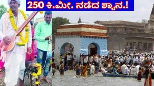  ಬೆಳಗಾವಿ: ಏಕಾಂಗಿಯಾಗಿ 250 ಕಿ.ಮೀ. ನಡೆದು ಪಂಡರಾಪುರದಿಂದ ಮರಳಿ ಮನೆ ಸೇರಿದ ಶ್ವಾನಕ್ಕೆ ಭರ್ಜರಿ ಮೆರವಣಿಗೆ.!