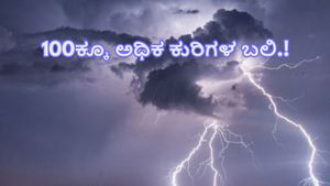 ಭಾರೀ ಮಳೆ: ಚಳ್ಳಕೆರೆಯ ಜಾಜೂರಿನಲ್ಲಿ ಸಿಡಿಲು ಬಡಿದು 100ಕ್ಕೂ ಅಧಿಕ ಕುರಿಗಳ ಬಲಿ, ಕುರಿಗಾಹಿಗಳು ಕಂಗಾಲು 