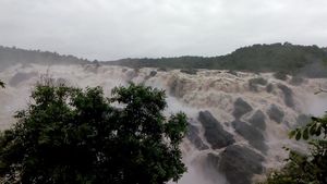 ಶಿಂಷಾ ಜಲಪಾತ: ಇದು ಮಳೆಗೆ ಮೈಕೈತುಂಬುವ ಮಂಡ್ಯದ ಜಲಬೆಡಗಿ