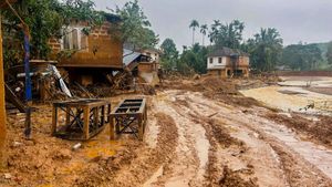 Wayanad landslide: ಜನರ ಗಮನ ಸೆಳೆದ ಡಿಸಿ, ಕನ್ನಡತಿ ಡಿ. ಆರ್. ಮೇಘಶ್ರೀ 