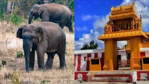  ಹಿಮವದ್‌ ಗೋಪಾಲಸ್ವಾಮಿ ಬೆಟ್ಟದಲ್ಲಿ ಅರಣ್ಯ ಸಿಬ್ಬಂದಿಯನ್ನೇ ಬೆನ್ನಟ್ಟಿದ ಕಾಡಾನೆ, ವಿಡಿಯೋ ವೈರಲ್‌  