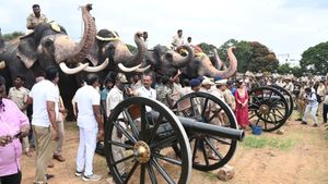  Mysuru Dasara: ಜಂಬೂ ಸವಾರಿಯಲ್ಲಿ ಭಾಗವಹಿಸುವ ಆನೆಗಳಿಗೆ  ಕುಶಾಲ ತೋಪು ತಾಲೀಮು