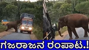  ಚಾಮರಾಜನಗರ: ರಸ್ತೆಗಿಳಿದು ದಾಂಧಲೆ ಶುರು ಮಾಡಿ.. ಹೇಯ್‌.. ಅಂದವರ ಕಡೆಗೆ ಗುರಾಯಿಸಿದ ಗಜರಾಜ, ವಿಡಿಯೋ ವೈರಲ್ 
