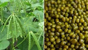 ಸರ್ಕಾರದ ಆದೇಶಕ್ಕೂ ಕ್ಯಾರೇ ಎನ್ನದ ಜಿಲ್ಲಾಡಳಿತ: ಸಂಕಷ್ಟದಲ್ಲಿ ರೈತರು 