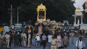  ಮೈಸೂರು ದಸರಾ: ಮರದ ಅಂಬಾರಿ ಹೊರುವ ತಾಲೀಮು ಆರಂಭಿಸಿದ ಗಜಪಡೆ