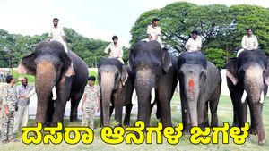 Mysuru: ಅರಮನೆ ಆವರಣದಿಂದ ಹೊರ ಬಂದು ಆನೆಗಳ ಗುದ್ದಾಟ; ಆತಂಕ ಸೃಷ್ಟಿ