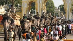  Mysuru Dasara: ರಿಲ್ಯಾಕ್ಸ್ ಮೂಡಿಗೆ ಜಾರಿದ ಜಂಬೂ ಸವಾರಿ ಗಜಪಡೆ