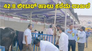  Mysuru Dasra: 42.8 ಲೀಟರ್ ಹಾಲು ಕರೆದು 1 ಲಕ್ಷ ಬಹುಮಾನ ಗೆದ್ದ ಹಸುವಿನ ಮಾಲಿಕ 