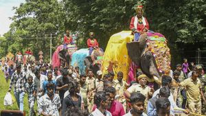  Mysuru Dasara: ಈ ಬಾರಿ 'ಪ್ರಥಮ ಪ್ರಜೆ' ಇಲ್ಲದೆ ನಡೆಯಲಿದೆ ಜಂಬೂಸವಾರಿ!