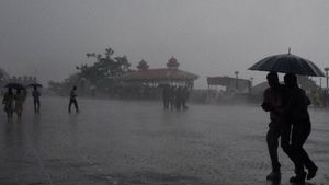 Heavy Rain: ಇತಿಹಾಸದಲ್ಲಿ ಕಂಡು ಕೇಳರಿಯದ ಮಳೆ: ಬೆಚ್ಚಿದ ಮುಳ್ಳಯ್ಯನ ಗಿರಿ!