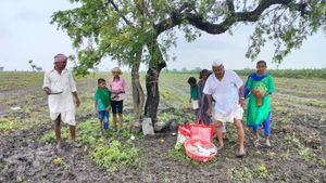 Karnataka Rain: ಮಳೆಯ ಆರ್ಭಟ: ಉತ್ತರ ಕರ್ನಾಟಕದಲ್ಲಿ ಕಳೆಗುಂದಿದ ಸೀಗೆ ಹುಣ್ಣಿಮೆ