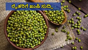 Moong Dal: ರೈತರಿಗೆ ಖುಷಿ ಸುದ್ದಿ: ಹೆಚ್ಚುವರಿ 'ಹೆಸರು' ಖರೀದಿಗೆ ಆದೇಶ