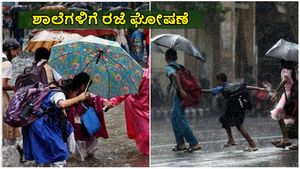 Heavy Rain: ಎಲ್ಲ ಶಾಲೆಗಳಿಗೆ ರಜೆ ಘೋಷಿಸಿದ ಜಿಲ್ಲಾಧಿಕಾರಿ