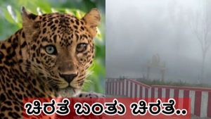  ಗುಂಡ್ಲುಪೇಟೆ: ಚಿರತೆ ಬಂತು ಚಿರತೆ.. ಕಾರಿನ ಬಳಿಯೇ ಬಂದ್ಬಿಡ್ತು; ವಿಡಿಯೋ ಭಾರೀ ವೈರಲ್‌