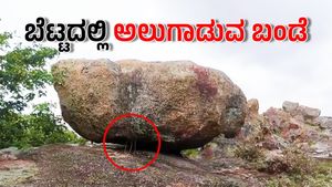 Rock Prediction: ಬೆಟ್ಟದಲ್ಲಿ ತೂಗಾಡುವ ಬಂಡೆ: ಚಿತ್ರದುರ್ಗದಲ್ಲೊಂದು ಪವಾಡ!