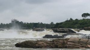 ಜಲಪಾತೋತ್ಸವಕ್ಕೆ ಚುಂಚನಕಟ್ಟೆಯ ಧನುಷ್ಕೋಟಿ ಸಜ್ಜು: ಈ ಜಲಪಾತದ ವಿಶೇಷತೆ ತಿಳಿಯಿರಿ