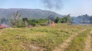 Bandipur Forest: ಬಂಡೀಪುರದಲ್ಲಿ ಕಾಡ್ಗಿಚ್ಚು ತಡೆಗೆ ಅರಣ್ಯ ಇಲಾಖೆ ಸಂಪೂರ್ಣ ಸನ್ನದ್ಧ! 