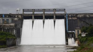 Bhadra Dam: ಭದ್ರಾ ಡ್ಯಾಂನಿಂದ ನಾಲೆಗಳಿಗೆ ನೀರು, ವೇಳಾಪಟ್ಟಿ ಪ್ರಕಟ 