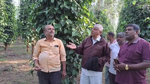 ಮಂಡ್ಯದಲ್ಲಿ ಮಲೆನಾಡು ಸೃಷ್ಟಿಸಿದ ರೈತ ಸುಬ್ಬೇಗೌಡ: ಏನಿದರ ವಿಶೇಷ?