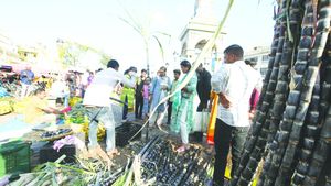 Makar Sankranti 2025: ಮೈಸೂರಿನಲ್ಲಿ ಸಂಕ್ರಾಂತಿಗೆ ಖರೀದಿ ಭರಾಟೆ : ಹೂ-ಹಣ್ಣು, ಎಳ್ಳಿನ ದರ ವಿವರ 