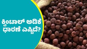 ದಾವಣಗೆರೆ: ಮಾರ್ಚ್‌ 8ರಂದು  ಕ್ವಿಂಟಾಲ್‌ ಅಡಿಕೆ ಧಾರಣೆ ಎಷ್ಟಿದೆ? ಇಲ್ಲಿದೆ ಅಂಕಿಅಂಶಗಳ ವಿವರ