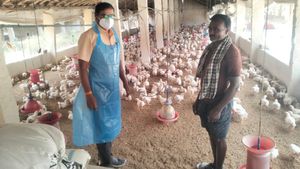Bird Flu: ಹಕ್ಕಿಜ್ವರ ತಡೆಗೆ ಮೈಸೂರು ಗಡಿಯಲ್ಲಿ ತೀವ್ರ ಕಟ್ಟೆಚ್ಚರ