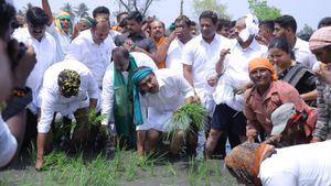 ಕುಮಾರಸ್ವಾಮಿ ಹಾದಿಯಲ್ಲಿ ಬಿಜೆಪಿ ರಾಜ್ಯಾಧ್ಯಕ್ಷ: ಪಂಚೆ ಎತ್ತಿ ಕಟ್ಟಿ ಮಂಡ್ಯದಲ್ಲಿ ಭತ್ತ ನಾಟಿ ಮಾಡಿದ ಬಿ ವೈ ವಿಜಯೇಂದ್ರ