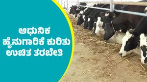 ದಾವಣಗೆರೆಯಲ್ಲಿ ರೈತರಿಗೆ  ಆಧುನಿಕ ಹೈನುಗಾರಿಕೆ ಕುರಿತು ಉಚಿತ ತರಬೇತಿ ಕಾರ್ಯಕ್ರಮ: ಮಾಹಿತಿ ಇಲ್ಲಿದೆ