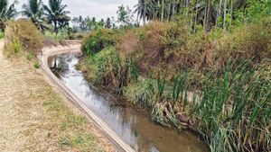 ಹೂಳು ತುಂಬಿದ ನಾಲೆಯಲ್ಲಿ ಹರಿಯುತ್ತಿಲ್ಲ ನೀರು: ರೈತರ ಗೋಳು ಕೇಳೋರಿಲ್ಲ