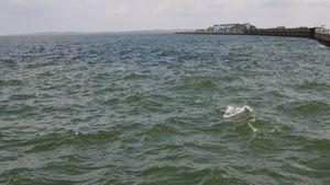 KRS Dam: ಕೆಆರ್‌ಎಸ್‌ನಿಂದ ವ್ಯರ್ಥವಾಗಿ ನದಿಗೆ ಹರಿದ ಸಾವಿರಾರು ಕ್ಯೂಸೆಕ್ ನೀರು