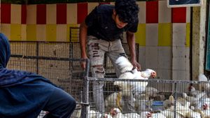 Bird Flu: ಹಕ್ಕಿ ಜ್ವರ, ಭಯ ಬೇಡ ಎಚ್ಚರವಿರಲಿ